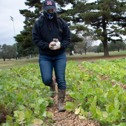 Curbing Food Insecurity with Baton Roots Community Farm